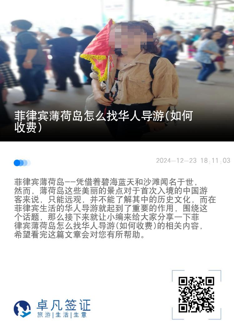 菲律宾薄荷岛怎么找华人导游(如何收费)